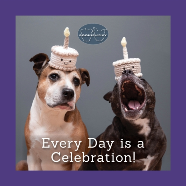 Sookie And Ivy Every Day Is A Celebration