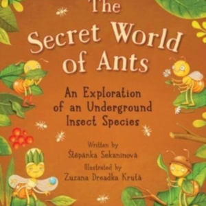 The Secret World Of Ants An Exploration Of An Underground Insect Species