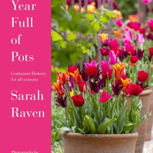 A Year Full Of Pots Container Flowers For All Seasons