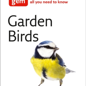 Garden Birds