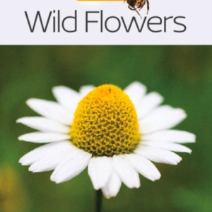 Wild Flowers