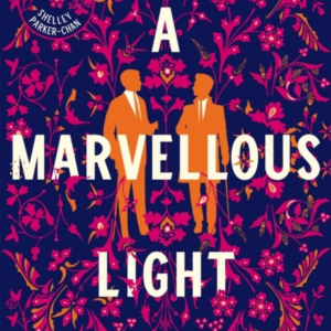 A Marvellous Light A Dazzling, Queer Romantic Fantasy