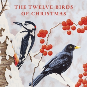 The Twelve Birds Of Christmas