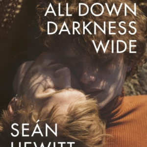All Down Darkness Wide A Memoir