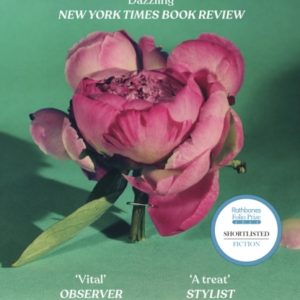 Pure Colour The New Novel From The Author Of Motherhood And How Should A Person Be?