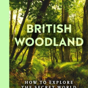 British Woodland How To Explore The Secret World Of Our Forests