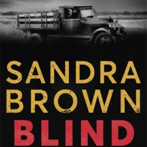 Blind Tiger A Gripping Historical Novel Full Of Twists And Turns To Keep You Hooked In 2021