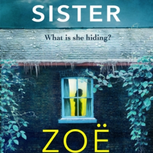 The Perfect Sister A Compelling Page-Turner That You Won'T Be Able To Put Down