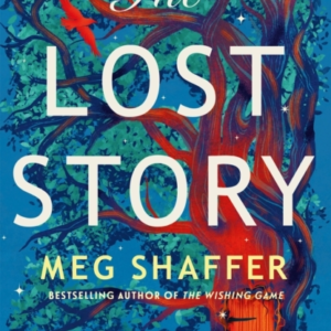 The Lost Story The Gorgeous, Heartwarming Grown-Up Fairytale By The Beloved Author Of The Wishing Game