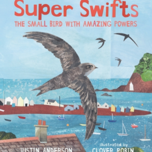 Super Swifts: The Small Bird With Amazing Powers
