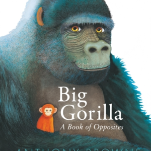 Big Gorilla: A Book Of Opposites