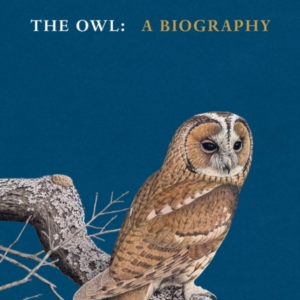 The Owl A Biography