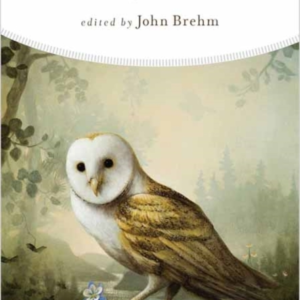 The Poetry Of Grief, Gratitude, And Reverence