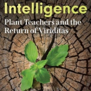 Herbal Intelligence Plant Teachers And The Return Of Viriditas