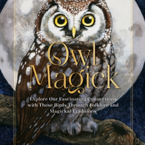 Owl Magick Explore Our Fascinating Connections With These Birds Through Folklore And Magickal Traditions