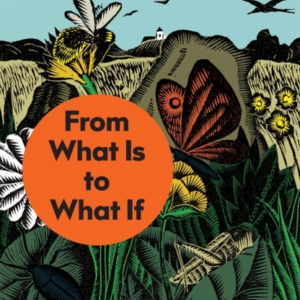 From What Is To What If Unleashing The Power Of Imagination To Create The Future We Want