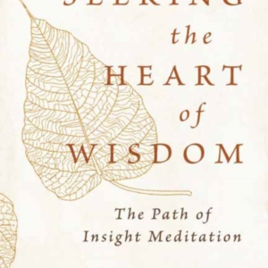 Seeking The Heart Of Wisdom The Path Of Insight Meditation