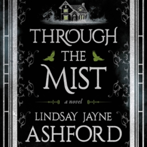 Through The Mist A Novel