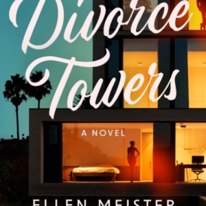 Divorce Towers A Novel