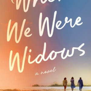 When We Were Widows A Novel