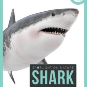 Spotlight On Nature: Shark