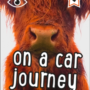 I-Spy On A Car Journey Spy It! Score It