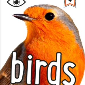 I-Spy Birds Spy It! Score It
