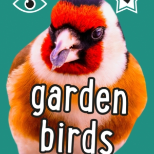 I-Spy Garden Birds Spy It! Score It