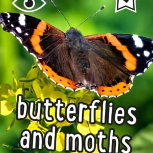 I-Spy Butterflies And Moths Spy It! Score It