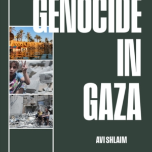 Genocide In Gaza Israel, Hamas, And The Long War On Palestine
