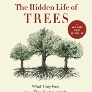 The Hidden Life Of Trees What They Feel, How They Communicatea?Discoveries From A Secret World