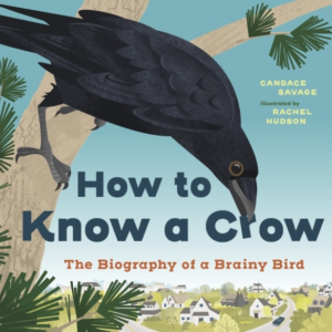 How To Know A Crow The Biography Of A Brainy Bird