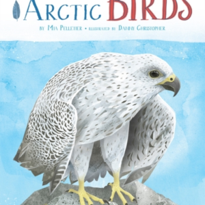 A Children'S Guide To Arctic Birds