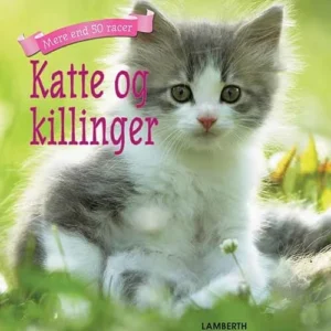 Katte og killinger