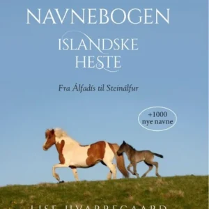 Navnebogen Islandske heste