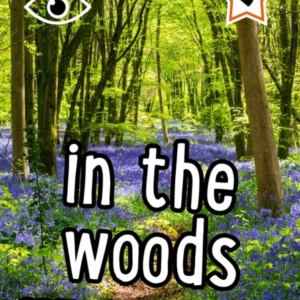 I-Spy In The Woods Spy It! Score It