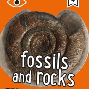 I-Spy Fossils And Rocks Spy It! Score It