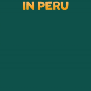 Paddington In Peru: The Jungle Quest