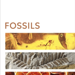 Fossils