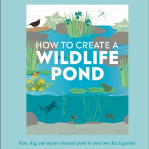 Rhs How To Create A Wildlife Pond Plan, Dig, And Enjoy A Nat