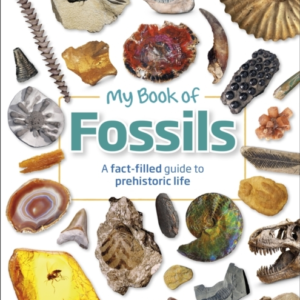 My Book Of Fossils A Fact-Filled Guide To Prehistoric Life