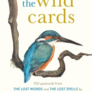 The Wild Cards A 100 Postcard Box Set