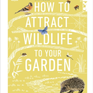 How To Attract Wildlife To Your Garden Foods They Like, Plan