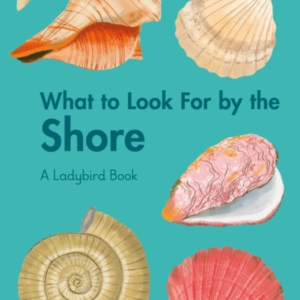 What To Look For By The Shore