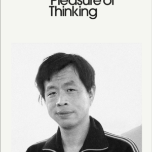 Pleasure Of Thinking