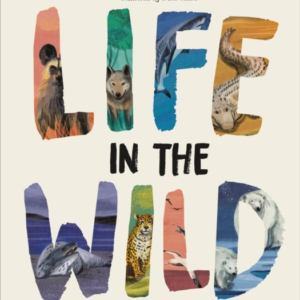 Life In The Wild Observing The Mysterious Lives Of 10 Real A