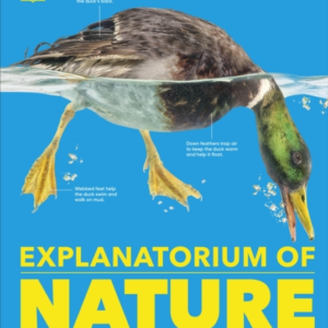 Explanatorium Of Nature Where The Wonders Of The World Are R