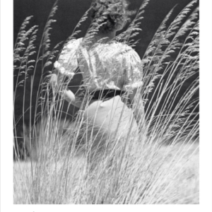 Zennor In Darkness From The WomenâS Prize-Winning Author Of