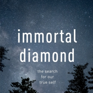 Immortal Diamond The Search For Our True Self