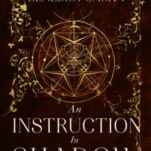 An Instruction In Shadow Inheritance Of Magic Book 2